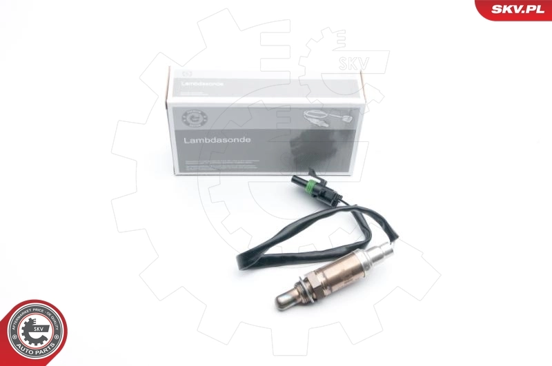 Oxygen Sensor
